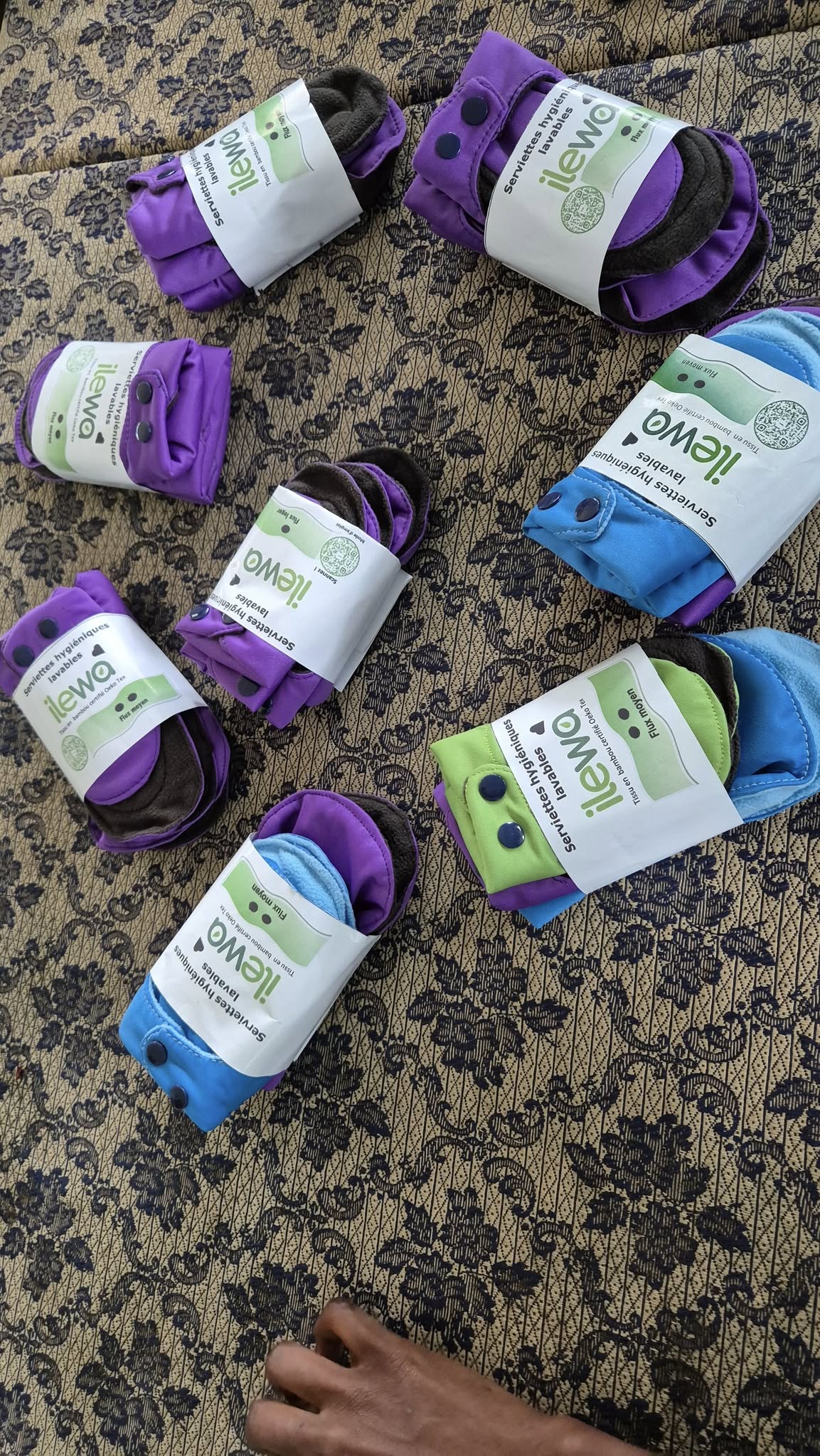 489960823_1244607337676921_7255120084408330115_n